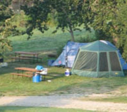 Little_Village_Inn_Guest_House_-_Assessipi_Beach_&_Campground.jpg