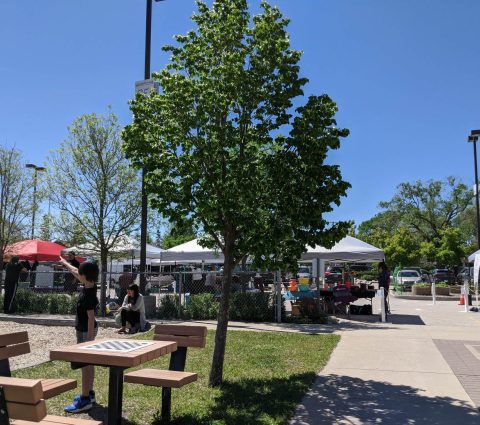 Bronx Park Farmers' Market