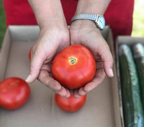 Carman Farmers' Market